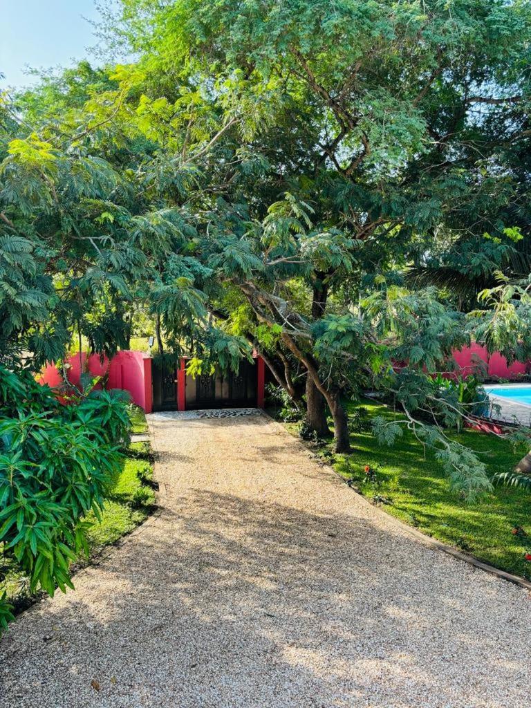 Bed and Breakfast Heda House Sanyang Екстер'єр фото